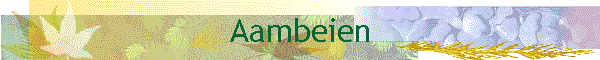 Aambeien