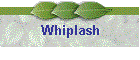 Whiplash