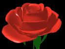 draaiende roos met zwarte achtergrond1.gif (58071 bytes)